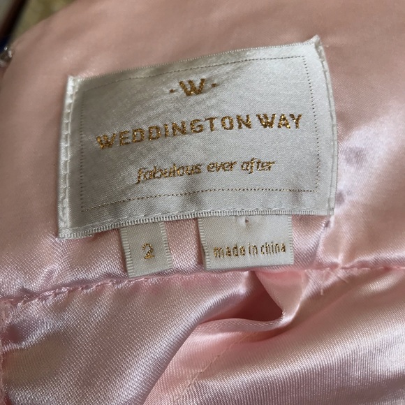 Weddington Way Camille Blush maxi Dress - Picture 8 of 8